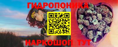 эйфоретик Новозыбков