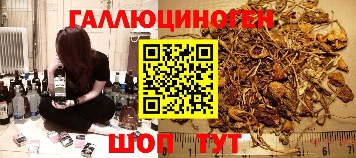 Лсд 25 Советск