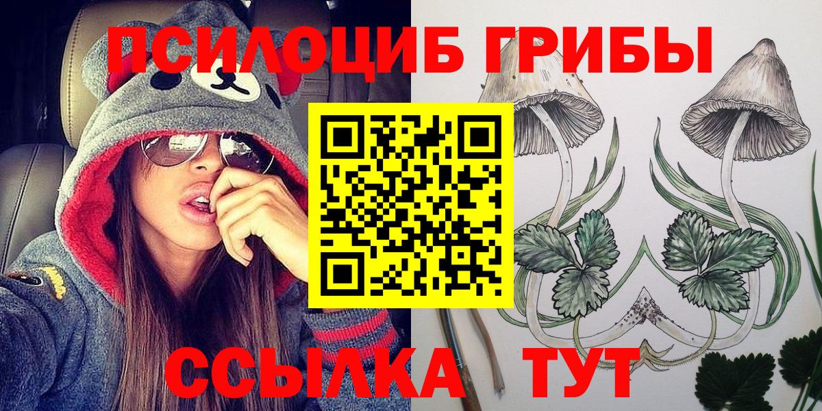 Советск  Псилоцибиновые грибы прущие грибы  Галлюциногенные грибы Psilocybe  Вход с VPN 